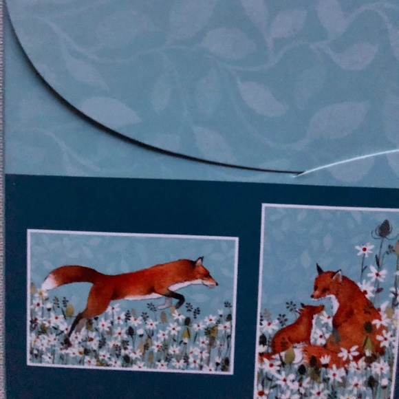 New FOX 20 pc Blank Card Set - Picture 3 of 3